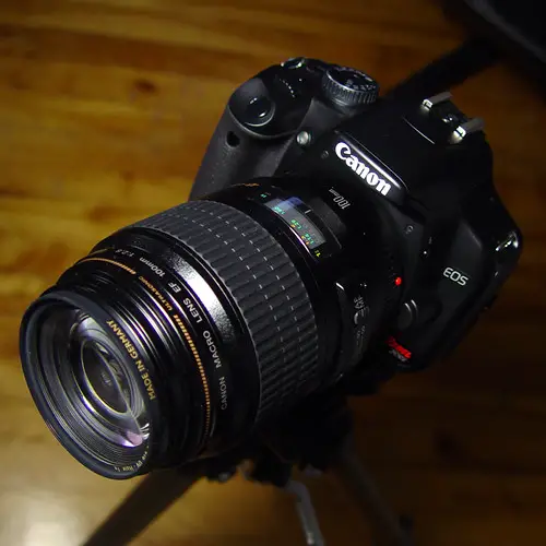 My new Camera - Canon XSI with 100mm lens